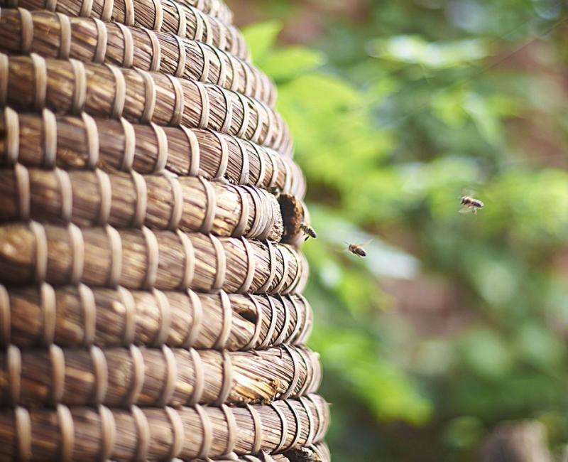 Viva Verne is nu Restobar Verne